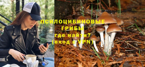 гидра Абинск