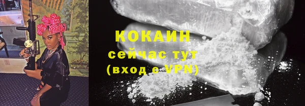 индика Липки