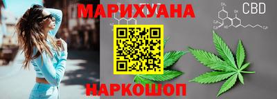 МДПВ Новозыбков