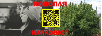 МДПВ Новозыбков