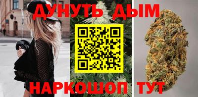мдпв Новокубанск