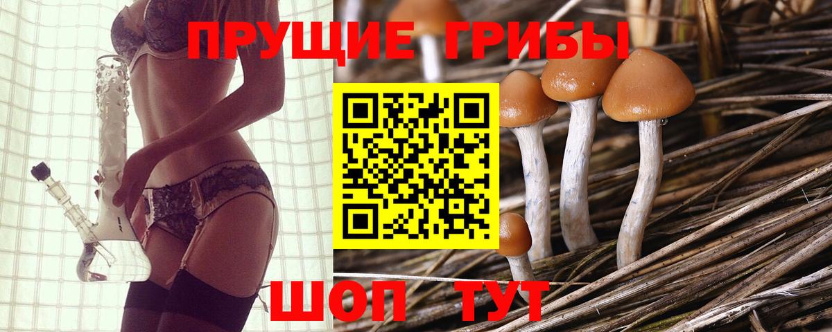 Псилоцибиновые грибы Magic Shrooms Оренбург
