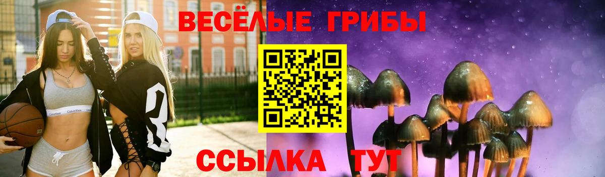 Оренбург  Галлюциногенные грибы мухоморы  Вход с VPN 